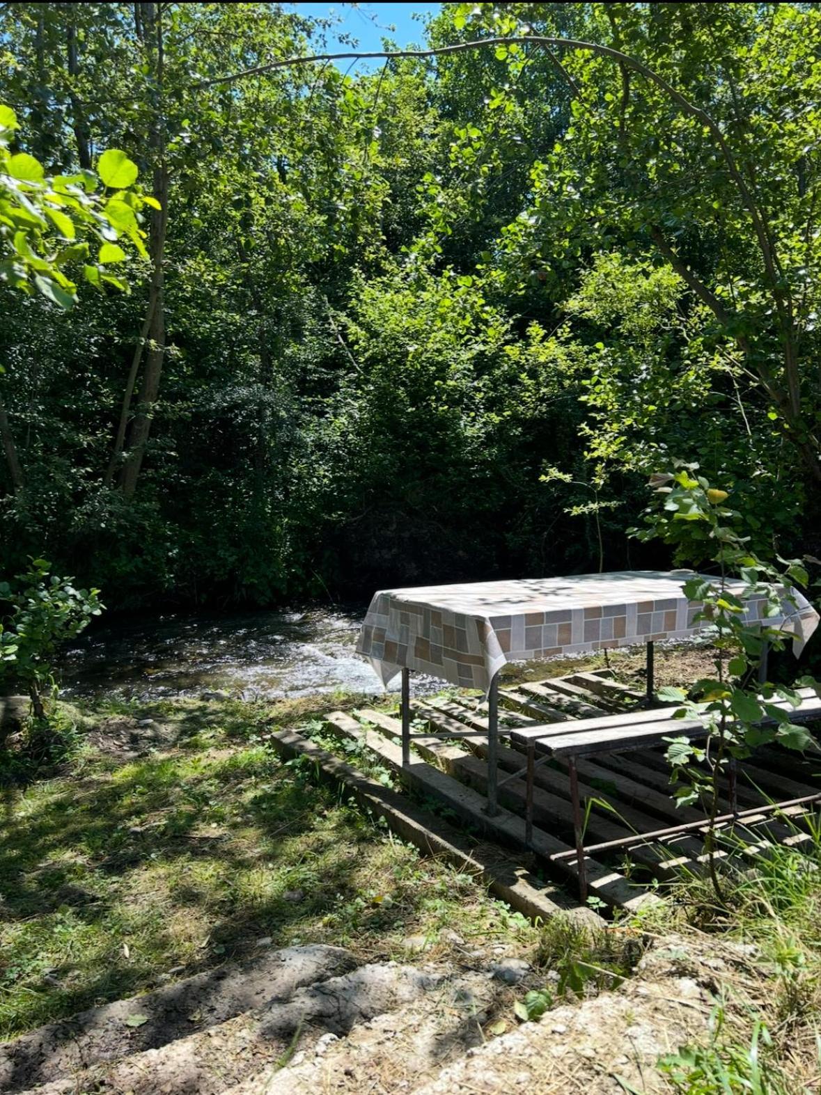 Cottage Bytheriver Arpasu de Sus Экстерьер фото